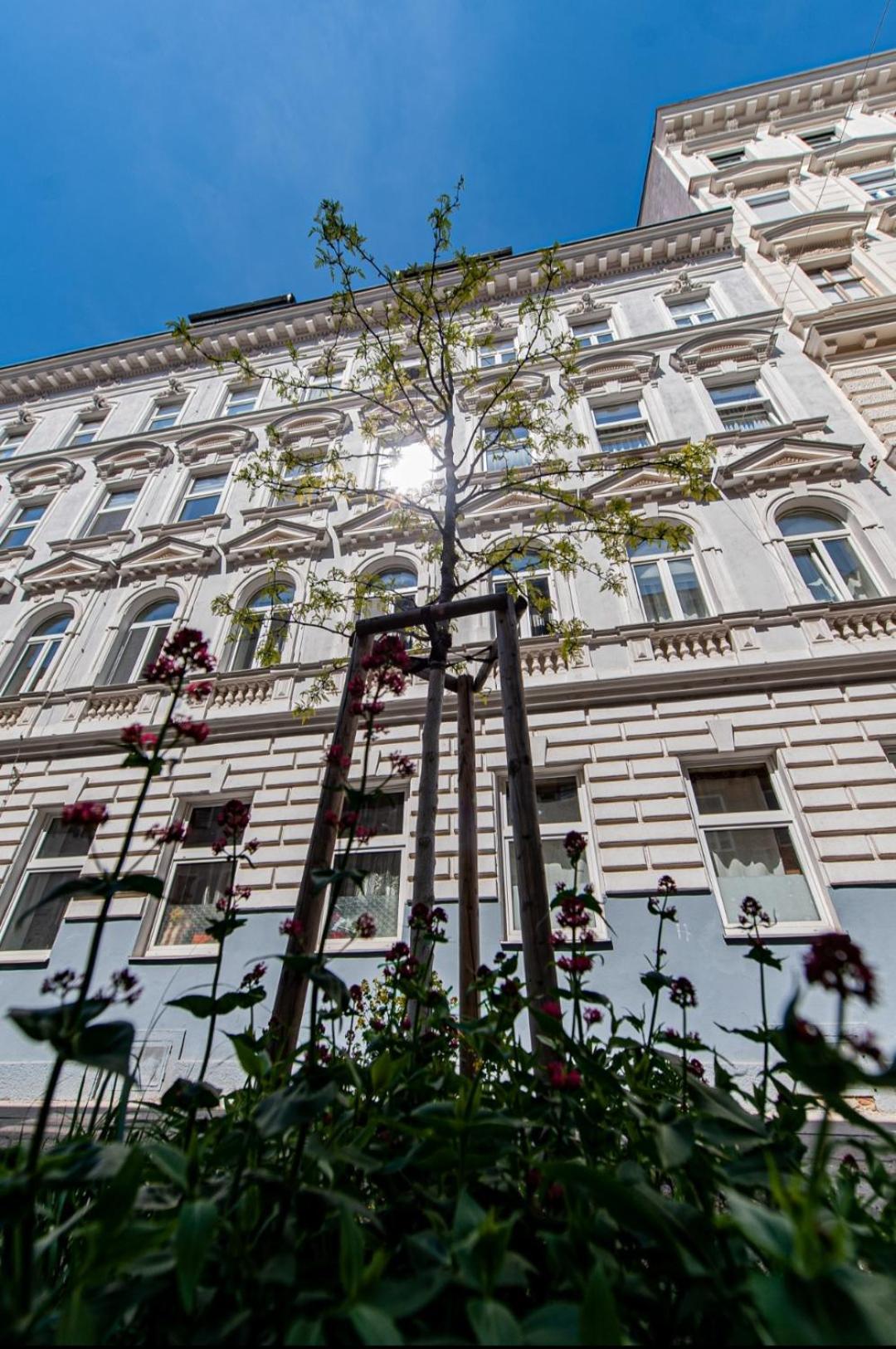 Vienna My City Apartment 1 Bedroom Exterior foto
