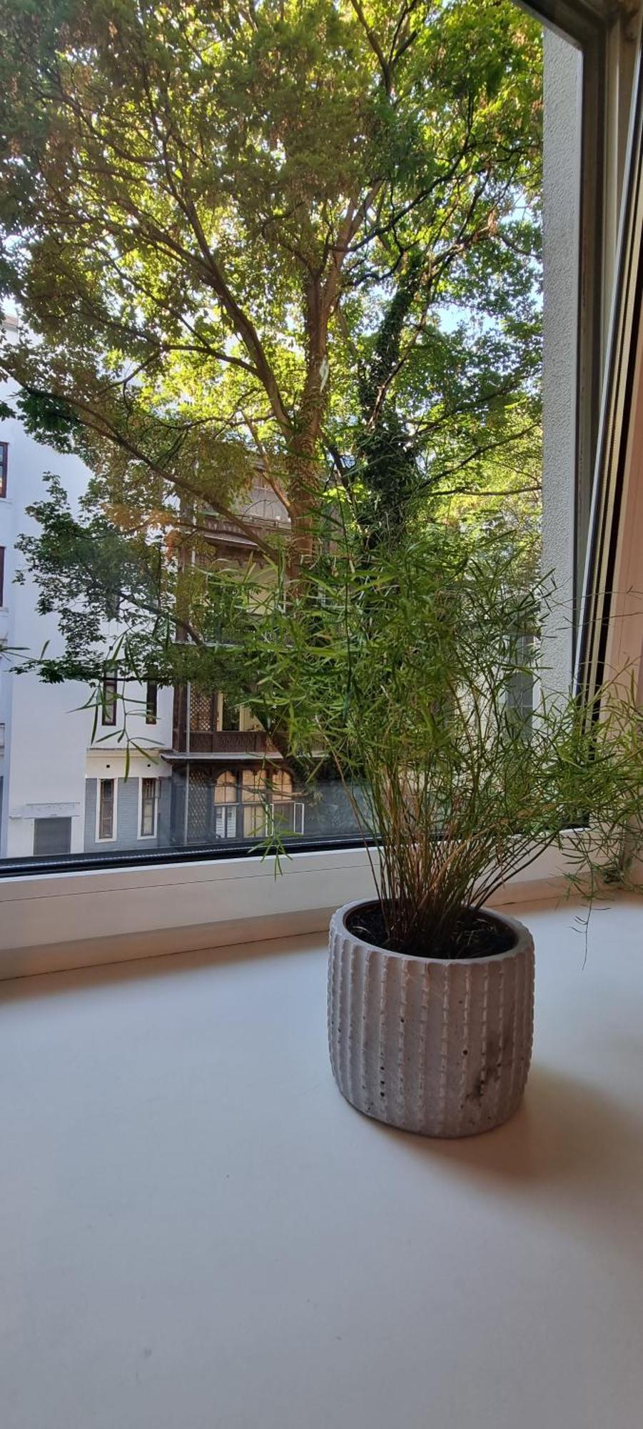 Vienna My City Apartment 1 Bedroom Exterior foto